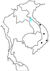 Archigenes miyazakii shigehoi map