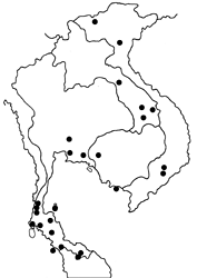 Stiboges nymphidia nymphidia map