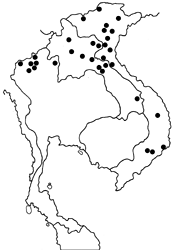 Atrophaneura aidoneus map