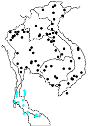 Pachliopta aristolochiae asteris map
