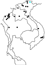 Papilio agestor agestor map