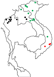 Papilio epycides hypochra map