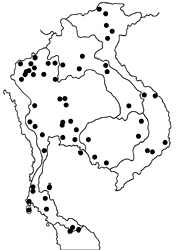 Papilio helenus helenus Map
