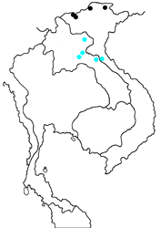 Papilio bootes xamnuensis Map