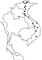 Papilio dialis doddsi Map