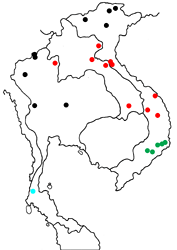 Meandrusa lachinus nagamasai Map