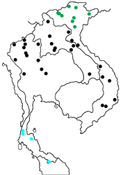 Meandrusa payeni amphis Map