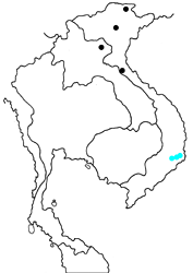 Teinopalpus aureus eminens Map