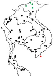Graphium sarpedon islander Map