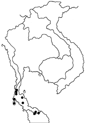 Graphium evemon eventus Map