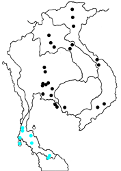 Graphium eurypylus acheron Map