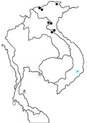 Graphium phidias phidias Map