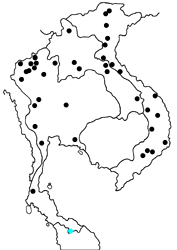 Graphium chironides chironides Map