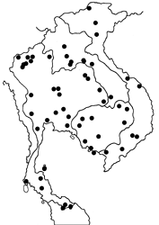 Graphium agamemnon agamemnon map