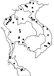 Graphium agetes agetes Map