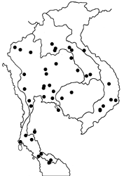 Graphium aristeus hermocrates Map