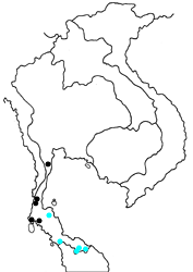 Graphium ramaceus inayoshii Map