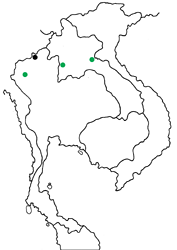 Graphium mandarinus fangana Map
