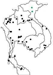 Lamproptera curius curius Map