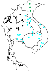 Lamproptera meges pallidus Map