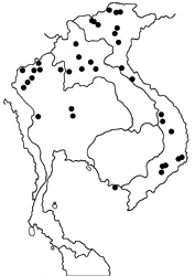 Pseudergolis wedah wedah map