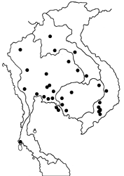 Ariadne specularia arca map