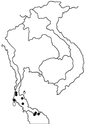 Laringa castelnaui castelnaui map