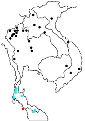 Poritia erycinoides phraatica map