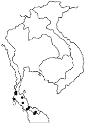 Poritia sumatrae sumatrae map