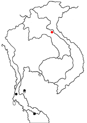 Deramas livens ssp. map
