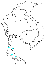 Liphyra brassolis abbreviata map