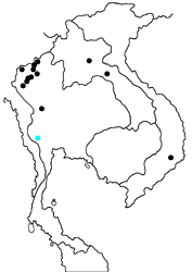 Miletus croton corus map