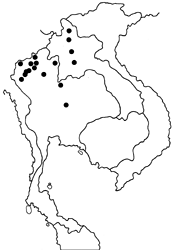 Miletus shania map