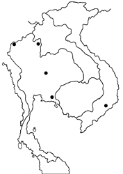 Allotinus taras map
