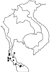 Allotinus sarrastes map