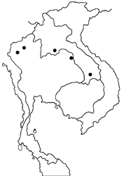 Allotinus yamaguchii map