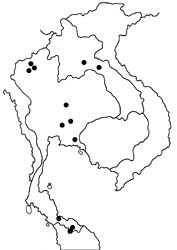 Logania distanti massalia map