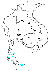Curetis saronis indosinica map
