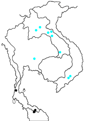 Curetis tagalica vietnamica map
