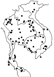 Castalius rosimon rosimon map