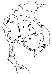 Everes lacturnus lacturnus map