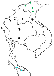 Tongeia potanini glycon map