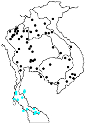 Acytolepis puspa gisca map