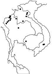 Celatoxia marginata marginata map