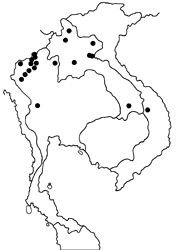 Celastrina argiolus iynteana map