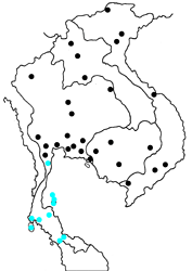 Chilades lajus tavoyana map