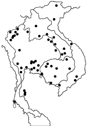Luthrodes pandava pandava map