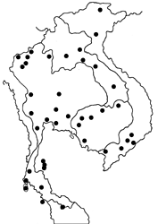 Euchrysops cnejus map