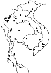 Lampides boeticus map