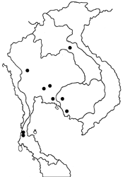 Jamides philatus subditus map